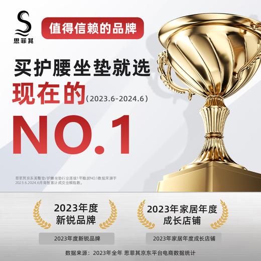 【释压黑科技】思菲其凝胶护腰蜂窝坐垫 ，柔护脊椎 透气舒爽 久坐不累【预售2-5天内发】 商品图1