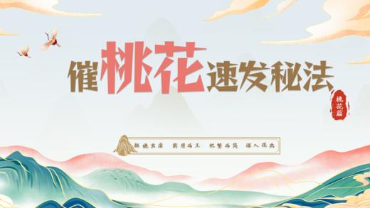 桃花篇之【男士】催桃花秘法 商品图0