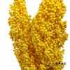永生花 | 高梁黄色 商品缩略图3