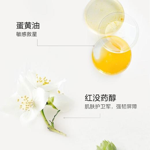 【刮码发货】一页 新生儿护臀膏50g【H】 商品图5