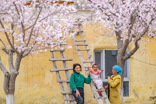 南疆春色：帕米尔高原、杏花村、中国西极村、塔吉克民族风情10天 商品图2