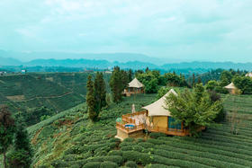 【雅安-149号民宿】单房预定，一家坐落于万亩茶园里的360°观景玻璃房子，nnp