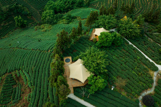 【雅安-149号民宿】单房预定，一家坐落于万亩茶园里的360°观景玻璃房子，nnp 商品图3