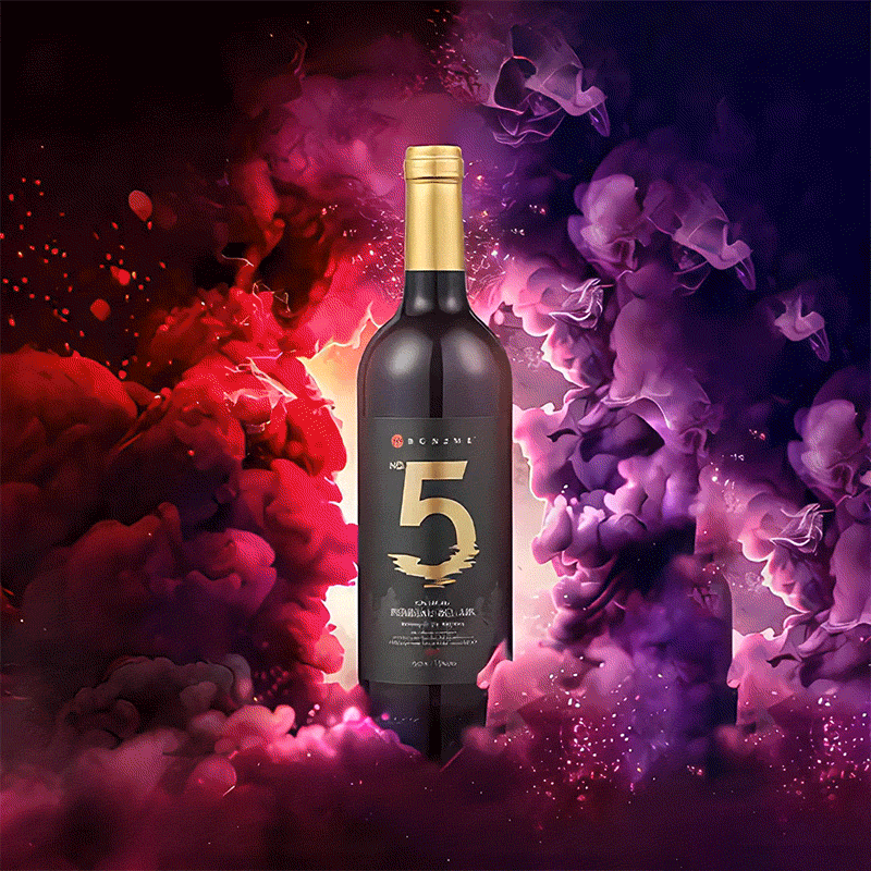 【支持定制】5号酒·世家城堡干红