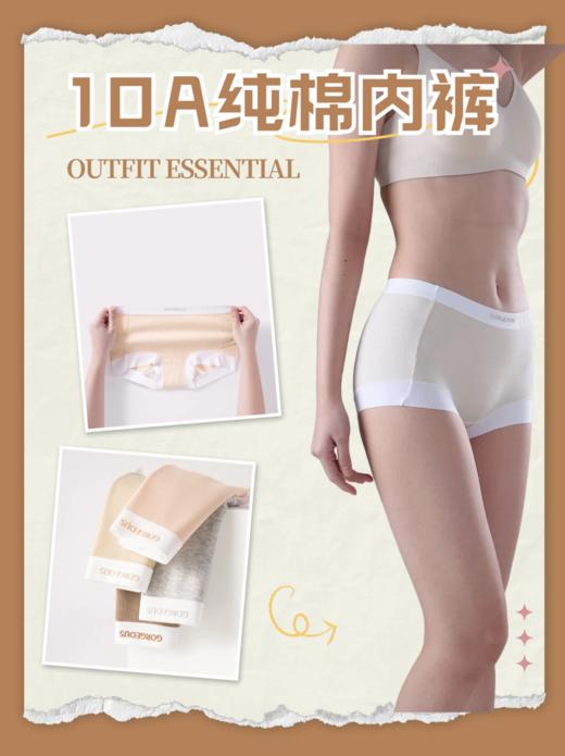 亲身肉测😍平角内裤天花板❗️超实惠5条装❗️【DFLS狄菲俪诗 撞色小平角纯棉10A内裤】🔻 🔻A类级医用纯棉面料、孕妇/哺乳期🉑用，手感细腻丝滑，质感十足 商品图2