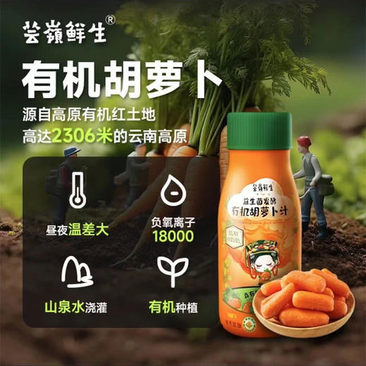 芸岭益生菌发酵有机胡萝卜汁（低糖）230g*10瓶 商品图7