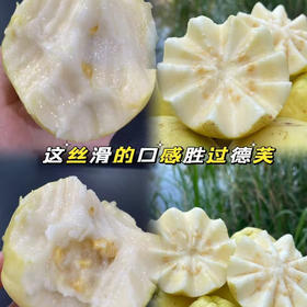 ​​​​​#🌈/奶油+芭乐=别人瘦身饿到发慌，我吃着芭乐畅想酸甜[色]热量低还饱腹，减肥不再是苦行僧，而是一场甜蜜的奔赴到货 ⁠‌﻿‎  ​⁠‎﻿‎​