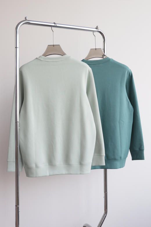 2H 出口单 双面布 宽松圆领卫衣 WY895 商品图3