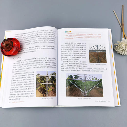 图解果树省力化优质高效栽培【官方正版，可开发票】 商品图2