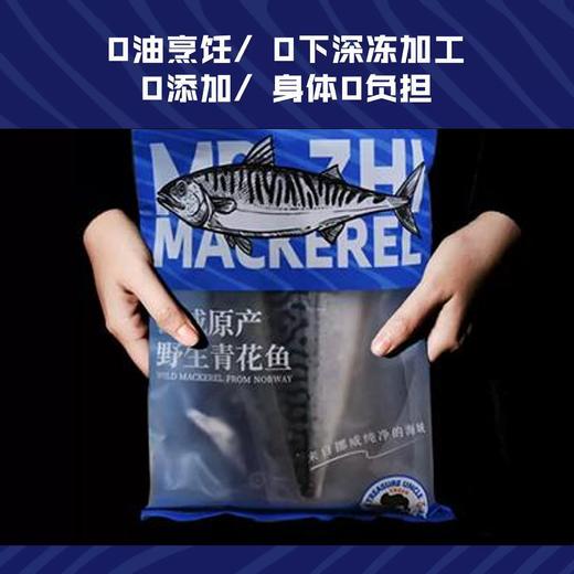 冷链到家【挪威进口野生青花鱼】鱼油营养丰富 肉质鲜嫩 0添加0调味 500g/袋(3~4片) 商品图1
