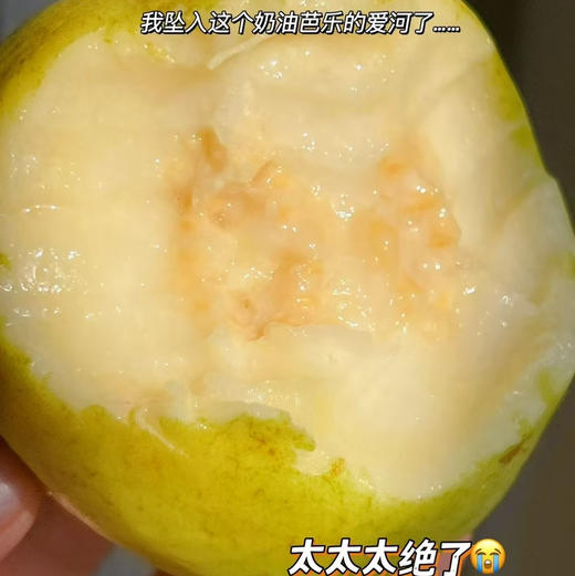 ​​​​​#🌈/奶油+芭乐=别人瘦身饿到发慌，我吃着芭乐畅想酸甜[色]热量低还饱腹，减肥不再是苦行僧，而是一场甜蜜的奔赴到货 ⁠‌﻿‎  ​⁠‎﻿‎​ 商品图1