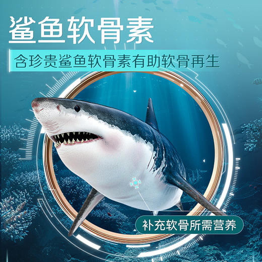 MAG&IGG筋骨舒 宠物软骨素冻干 猫咪狗狗滋养养护关节营养补充60g 商品图2