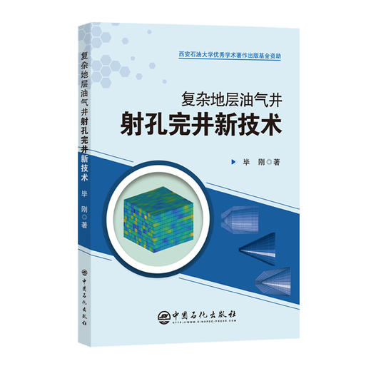 复杂地层油气井射孔完井新技术 系统阐述围绕复杂地层油气井射孔完井新技术的相关理论以及具体技术等 商品图0