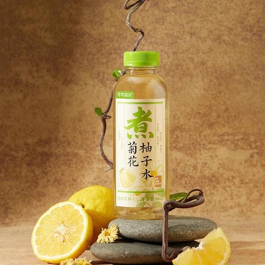可可满分菊花柚子水500ml 商品图0