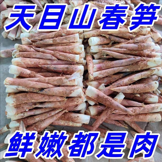 【一寸阳光】 临安天目山春笋（京东快递） 商品图3