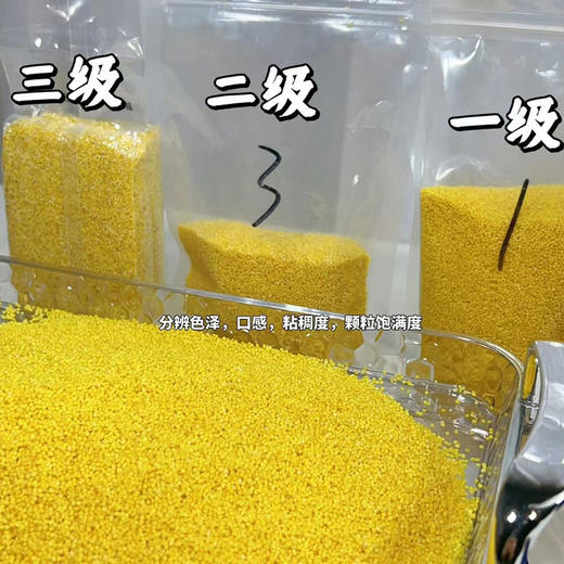 【2025年新小米上市】【回味好香，米油更丰富】值得尝正宗敖汉小米 原产地直发 500g×5小包 独立小包装更易保存~ 商品图4