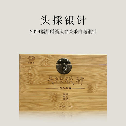 茶频道自营 头採银针 2024年福鼎白茶头春头采白毫银针 磻溪镇 300g/箱 商品图0
