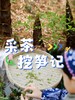 4.1/4.4【蒲江-采茶挖笋记】“小茶农”初体验，采茶，炒茶，挖春笋，吃春日竹笋宴，学竹子知识、做竹节人 商品缩略图0