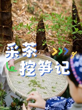 4.1/4.4【蒲江-采茶挖笋记】“小茶农”初体验，采茶，炒茶，挖春笋，吃春日竹笋宴，学竹子知识、做竹节人