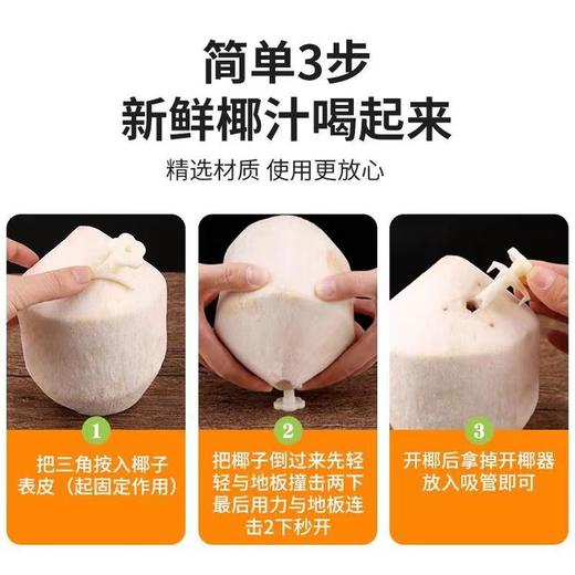 【分仓直发包邮】海南椰青（精品果）4个（单果2-3斤 送开椰器和吸管） 商品图3