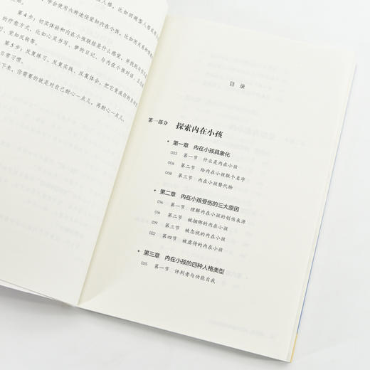 我与我 内在小孩的觉知与成长 心理学书籍疗愈你的内在小孩养育你内心的小孩解决自我冲突原生家庭童年创伤与自己和解 商品图3