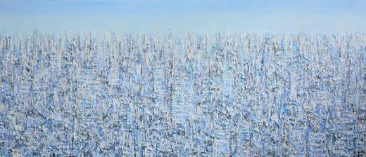 王小双 | 看不见的城市30 商品图0