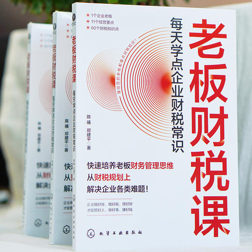 老板财税课：每天学点企业财税常识 商品图2