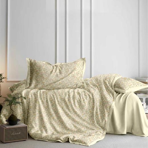 远梦奢柔棉四件套 商品图1