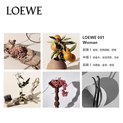 【限时特惠】LOEWE罗意威001女款事后清晨 浓香水 100ml 商品图1