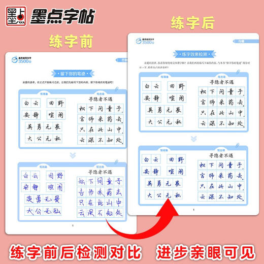 墨点楷书字帖通用规范汉字3500字楷书行楷 成人练字荆霄鹏钢笔硬笔中性笔书法临摹常用字 商品图3