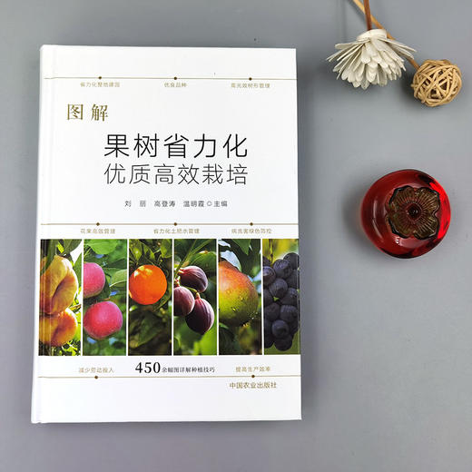 图解果树省力化优质高效栽培【官方正版，可开发票】 商品图1