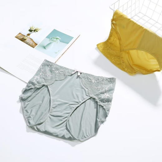 【3F】安莉芳薄款冰丝内裤棉底档女士蕾丝中腰三角裤E300166 商品图0