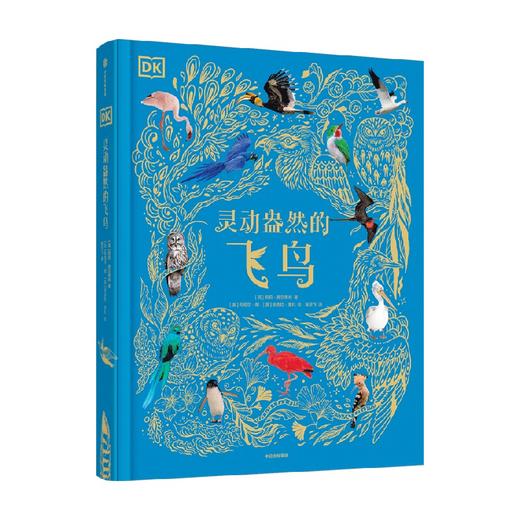 DK灵动盎然的飞鸟 商品图4