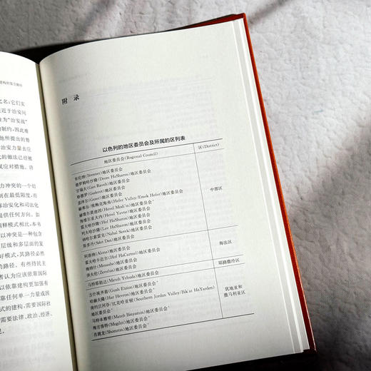 和平建构的复合路径 政治学学术专著 地缘政治 和平与安全战略 商品图12