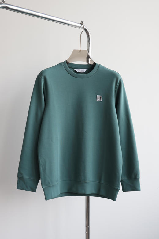 2H 出口单 双面布 宽松圆领卫衣 WY895 商品图4