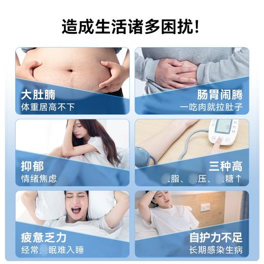 Timeshop 肠倍轻AKK益生菌胶囊 60粒【香港直邮】 商品图9