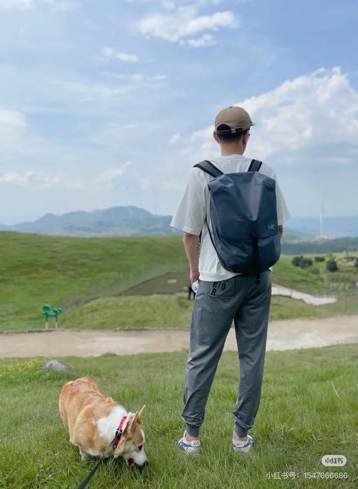 鸟 2025新款 GRANVILLE 20双肩背包 Z-12031 商品图5