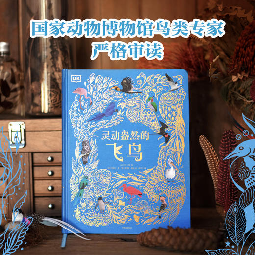 DK灵动盎然的飞鸟 商品图0