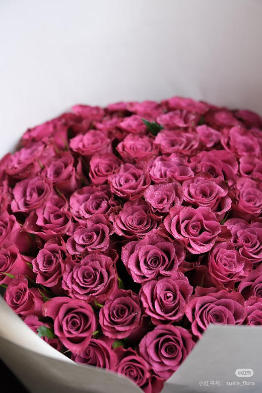 国产玫瑰-【多头蓝莓】 商品图1