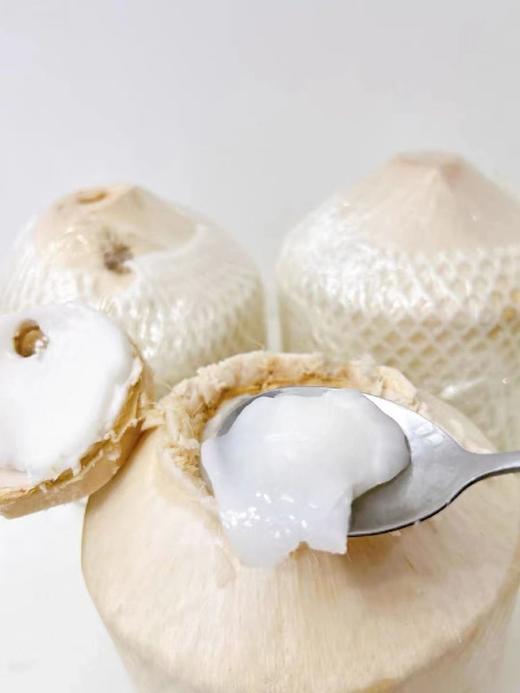 【分仓直发包邮】海南椰青（精品果）4个（单果2-3斤 送开椰器和吸管） 商品图2