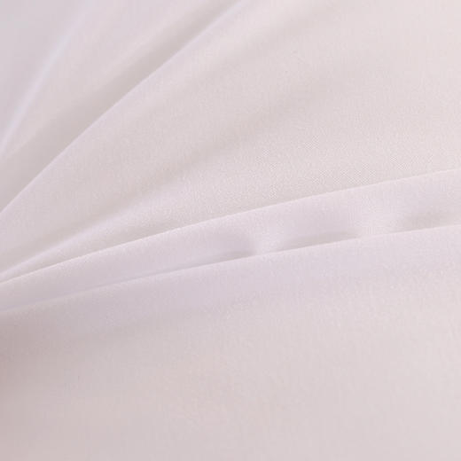 【国民品牌】浪莎磨毛玻尿酸三防枕芯 A类母婴 吸湿透气 轻柔绵软 一对装 商品图8