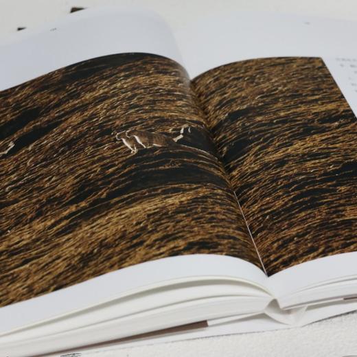 雪豹一家 卓玛王朝 骆晓耘 著  野生动物摄影 三联书店 商品图2