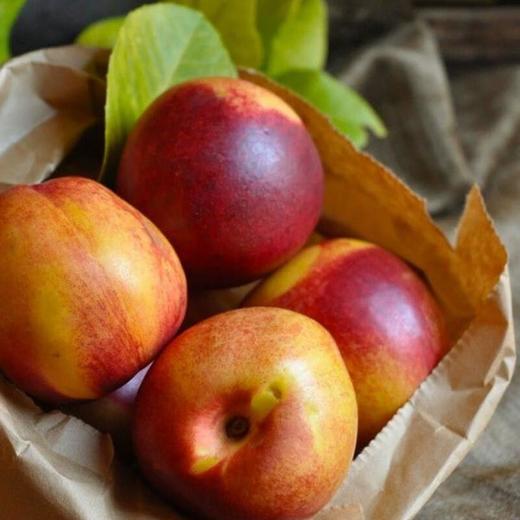 智利油桃2粒约300g(单果规格150g+) 商品图1