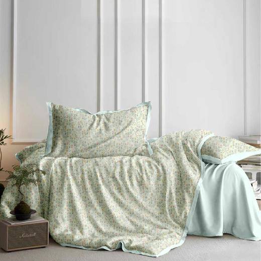 远梦奢柔棉四件套 商品图0