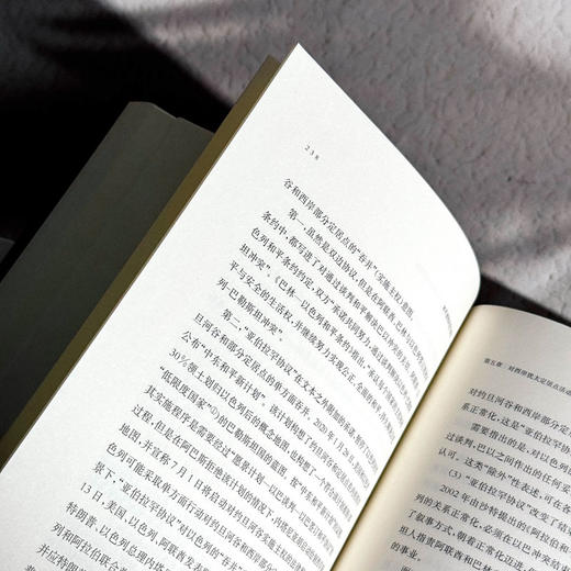 和平建构的复合路径 政治学学术专著 地缘政治 和平与安全战略 商品图11