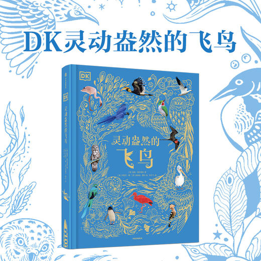 DK灵动盎然的飞鸟 商品图1