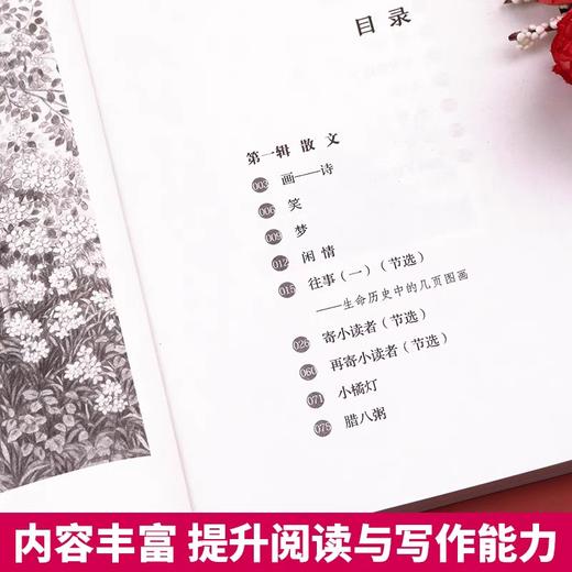 鲁迅作品+冰心作品学生版 名家作品含散文往事、寄小读者、诗歌繁星春水乡愁等经典散文与诗歌从百草园到三味书屋阿长与山海经 商品图4