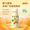 【分仓直发包邮】纯粒黄皮多多230g*10瓶 商品缩略图1