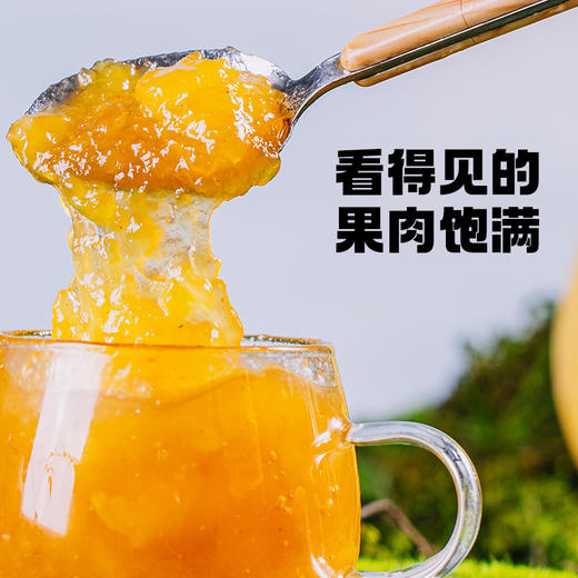 印度酸甜芒果果酱600g芒果泥烘焙家用商用杨枝甘露原浆奶茶店专用 商品图4