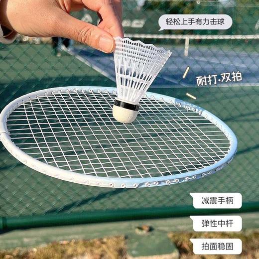 【送3个尼龙球 1个球包】德尔惠羽毛球拍 超轻易上手 防滑减震手柄 003 商品图5